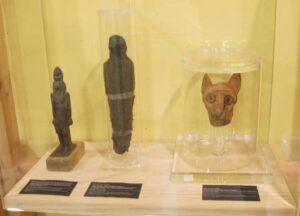 Lee más sobre el artículo El Diario de León se hace eco de la exposición «Animales Sagrados Egipcios» en Sabero (León)